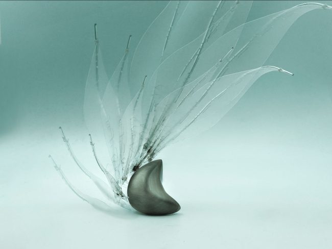 Windswept #1 - A physical exploration of the natural world