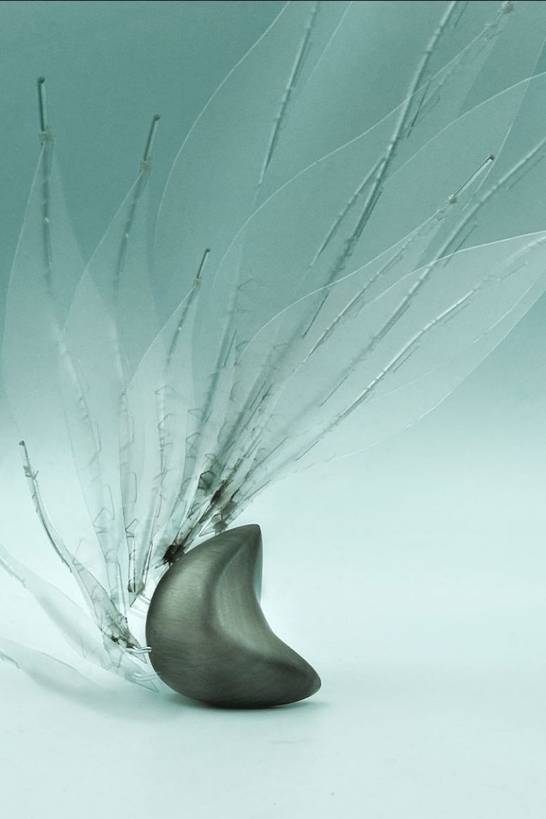 Windswept #1 - A physical exploration of the natural world