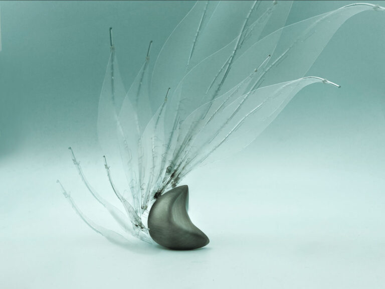 Windswept #1 - A physical exploration of the natural world