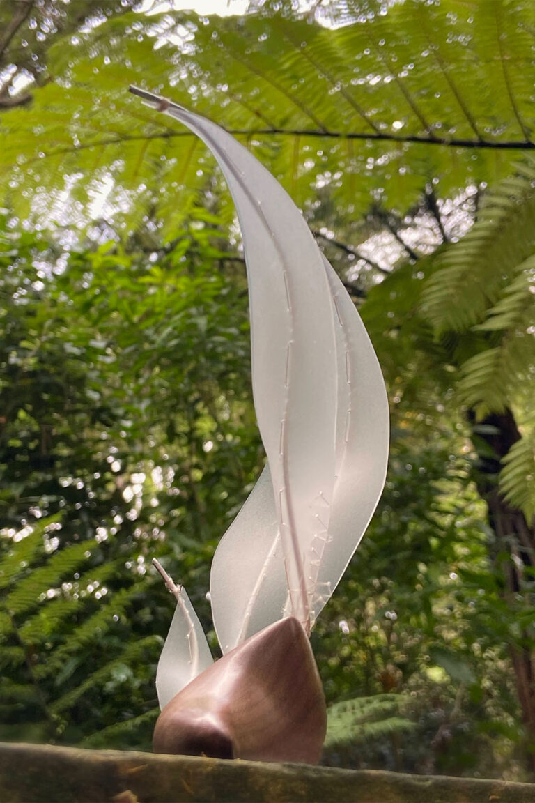 Windswept #2 - A physical exploration of the natural world