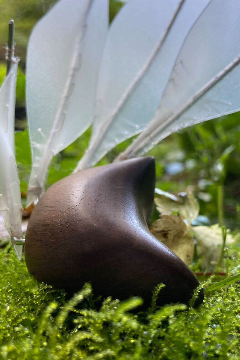 Windswept #3 - A physical exploration of the natural world